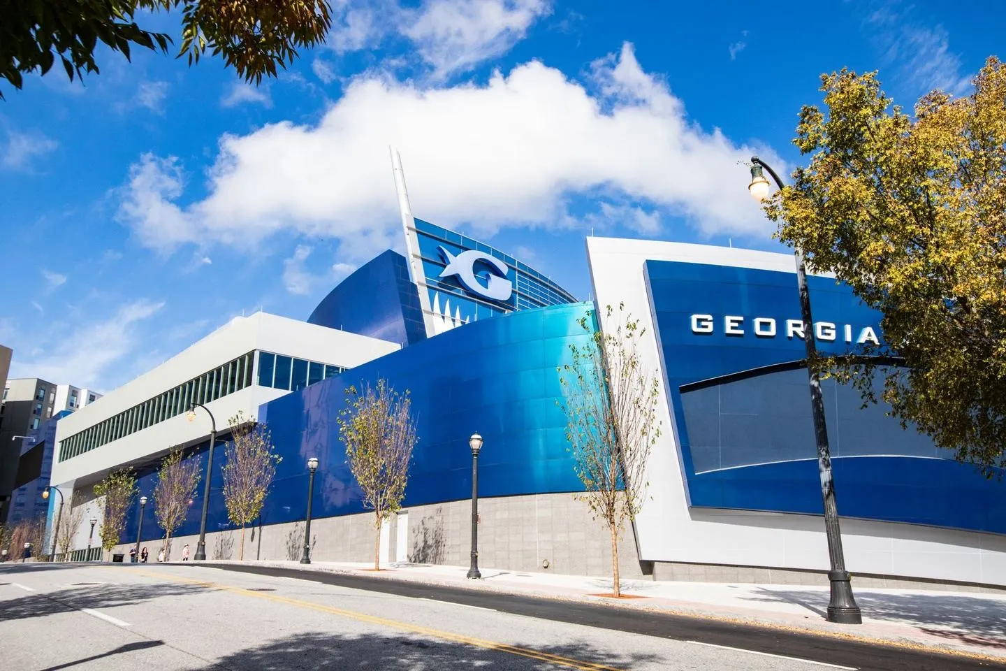 Georgia Aquarium
