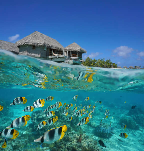 10 Night Society Islands & Tuamotus Paul Gauguin Cruise with Cathy & Cathy!
