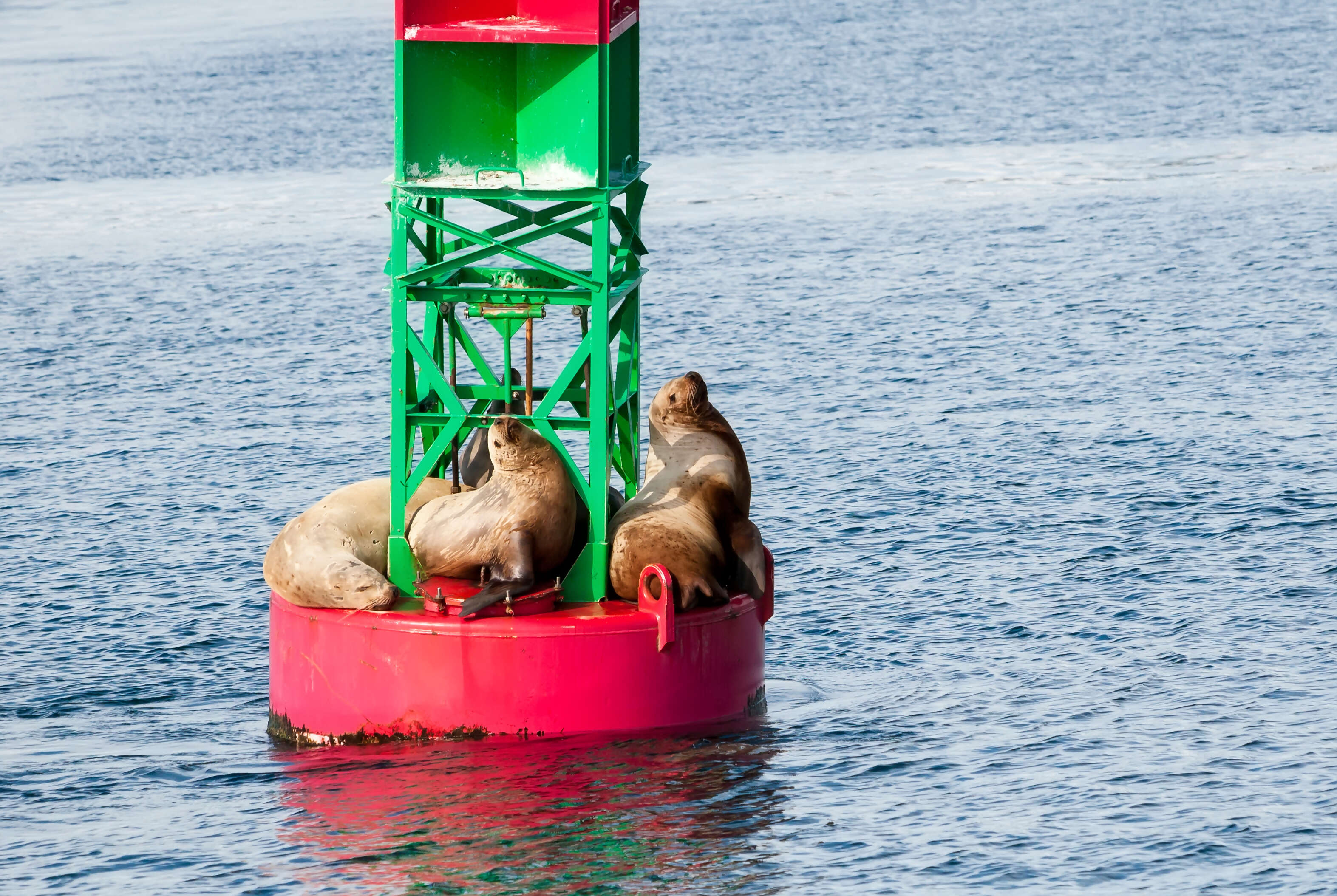 Saturday, June 04, 2022 <br> Port Hardy – Telegraph Cove