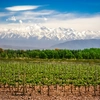 Argentina's Currency Loss Is Tourists' Gain