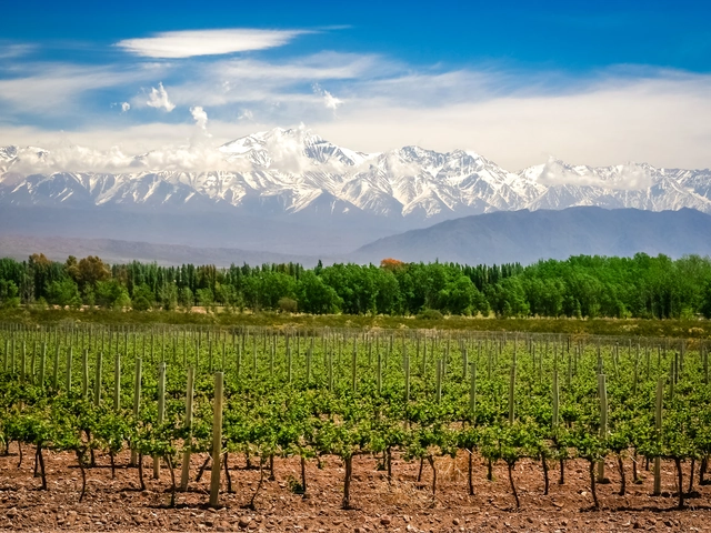Argentina's Currency Loss Is Tourists' Gain
