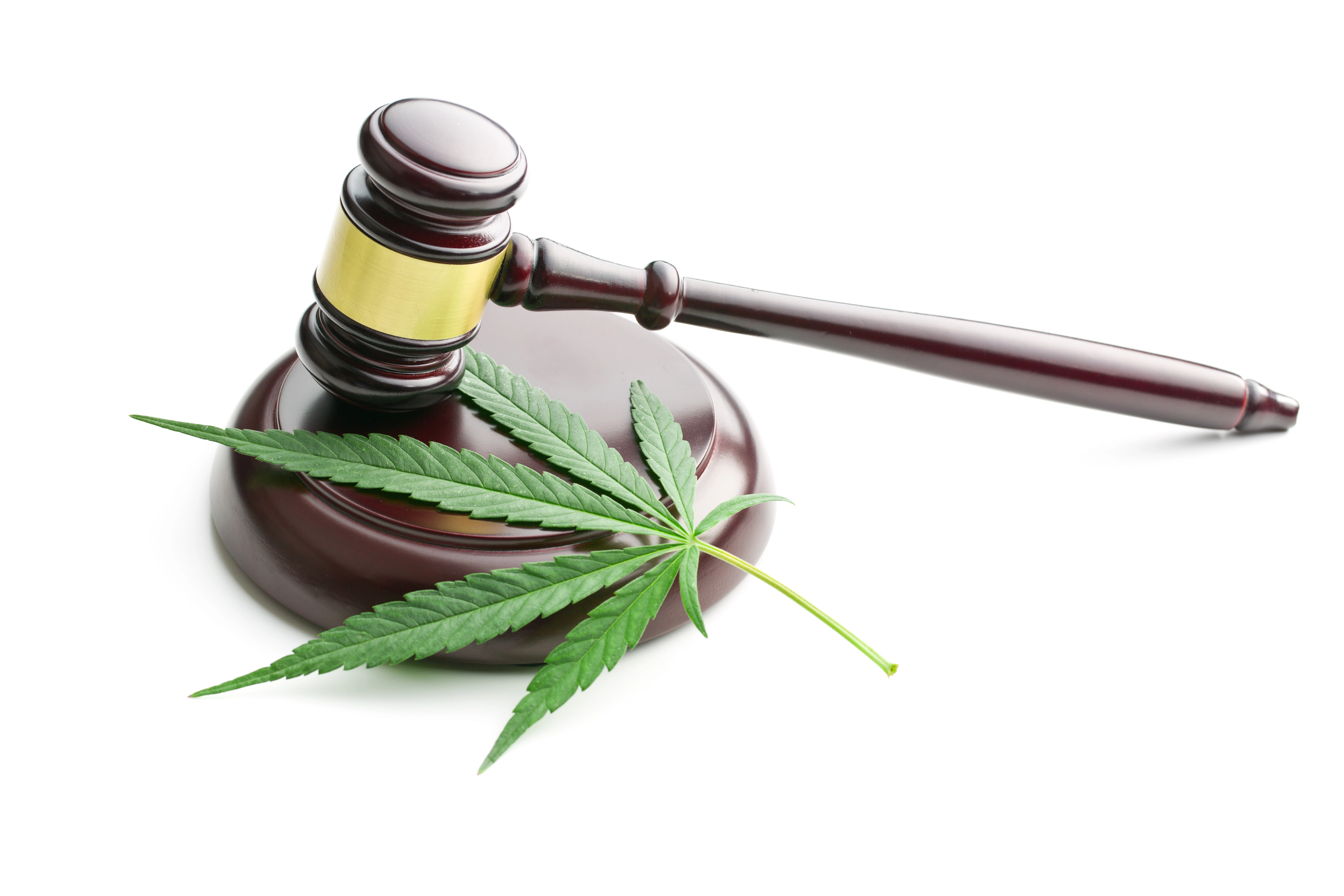 How New Cannabis Laws Pertain To Canadian Travellers