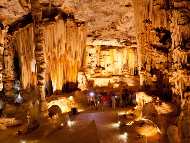 Group Travel