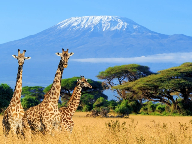 Kenya