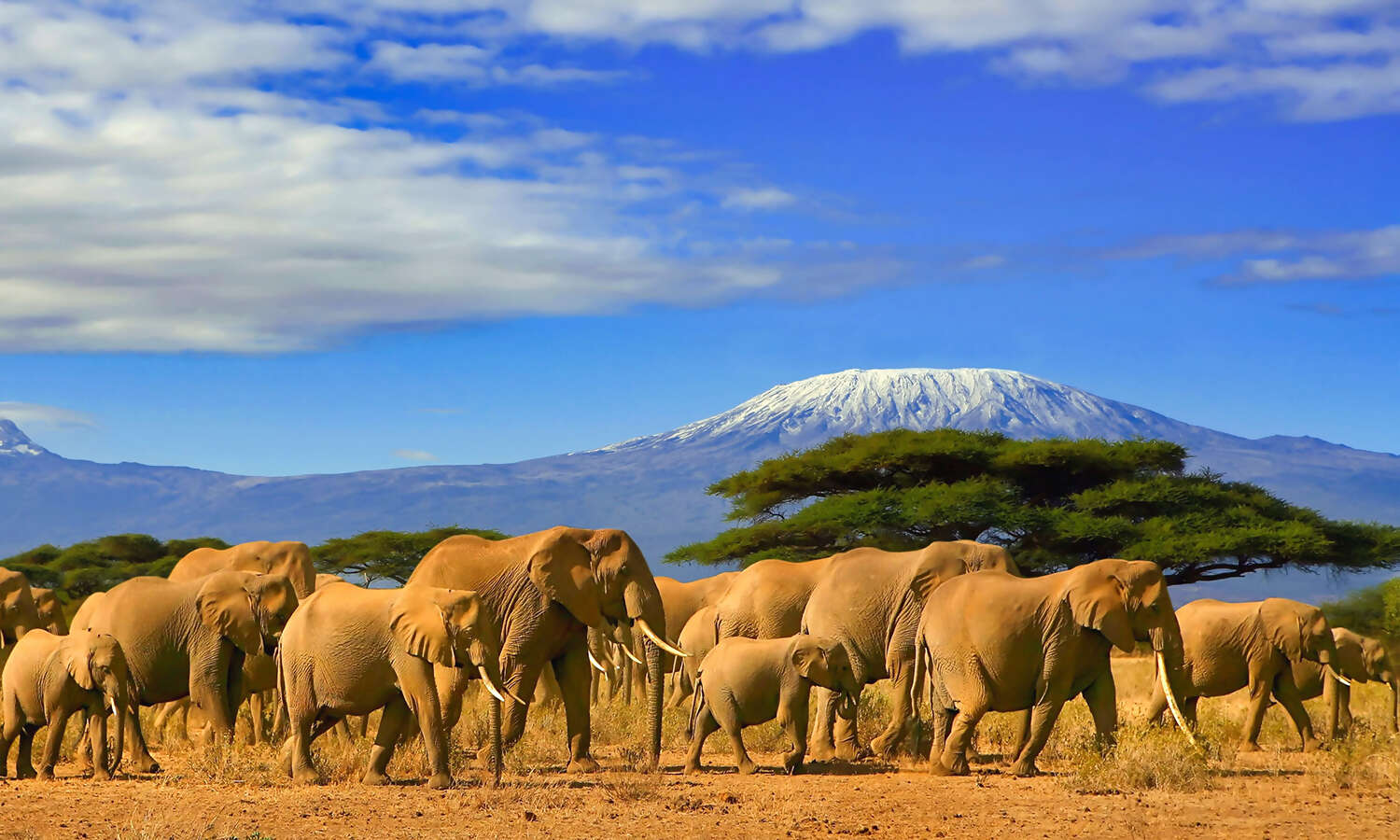 Kilimanjaro Tanzania
