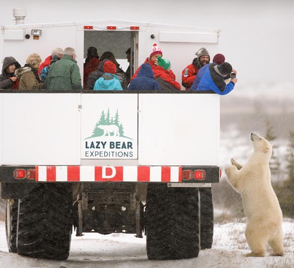 Experience the northern frontier town of Churchill and the wonderful wildlife surrounding it on a 2 night, 3 days – Polar Bear Adventure!