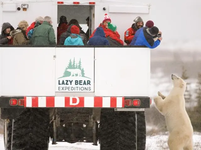 Experience the northern frontier town of Churchill and the wonderful wildlife surrounding it on a 2 night, 3 days – Polar Bear Adventure!