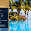 Alert: Ocean Cruises OLife Choice