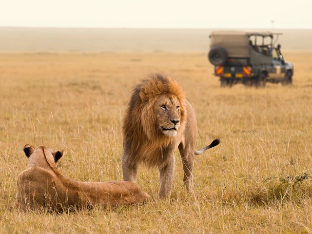 Africa & Safaris