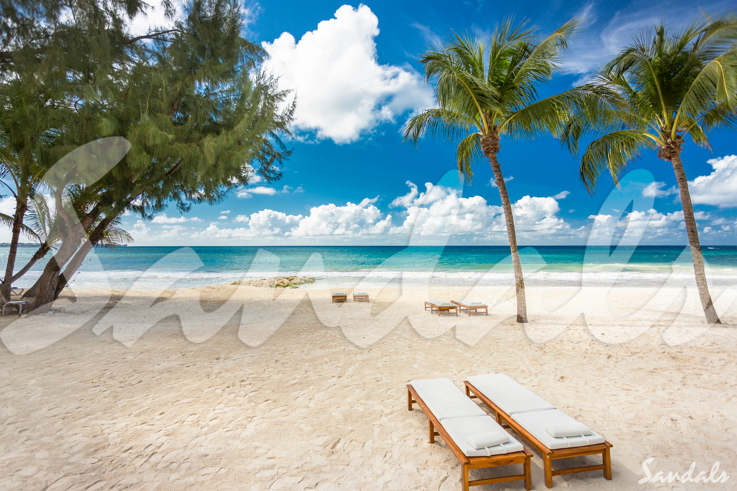 The Travel Store takes off to the turquoise waters & golf greens of the Caribbean