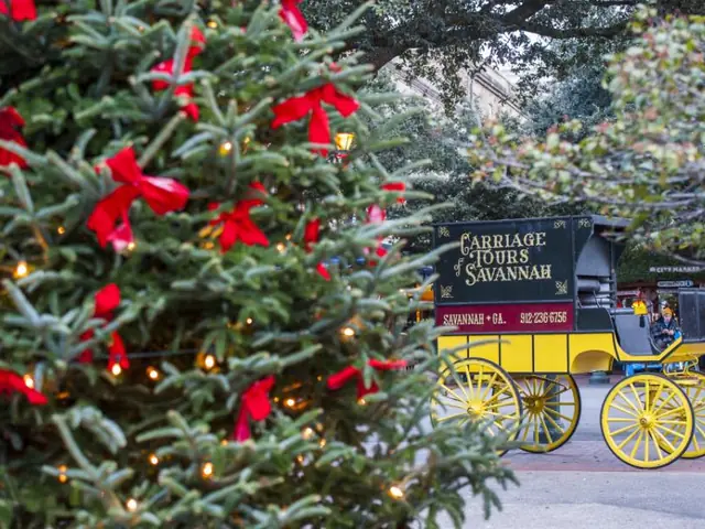 Christmas in Savannah