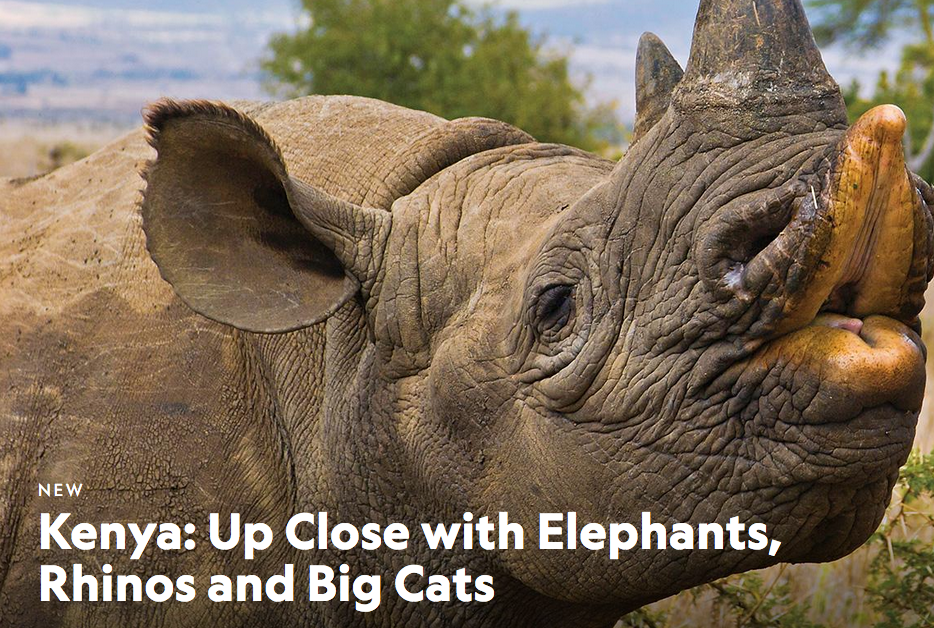 New! Nat Geo Conservation Africa Expedition: Elephants, Rhinos and Big Cats