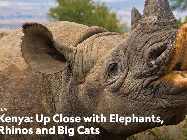 New! Nat Geo Conservation Africa Expedition: Elephants, Rhinos and Big Cats