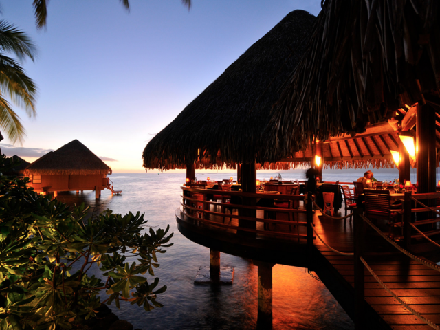 Hawaii and Tahiti Added to Holland America Line's FOOD & WINE Shore Excursions