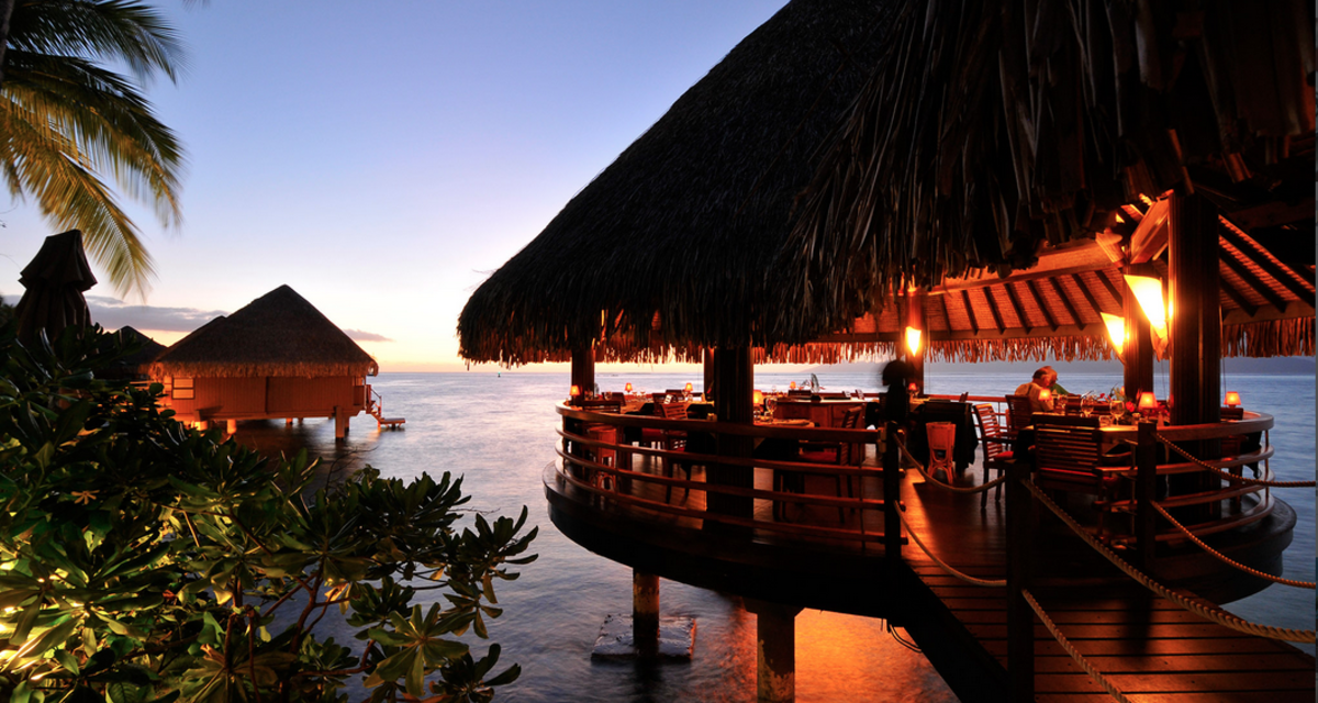 Hawaii and Tahiti Added to Holland America Line's FOOD & WINE Shore Excursions