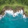 Finding Wellness in the Waters of Jamaica