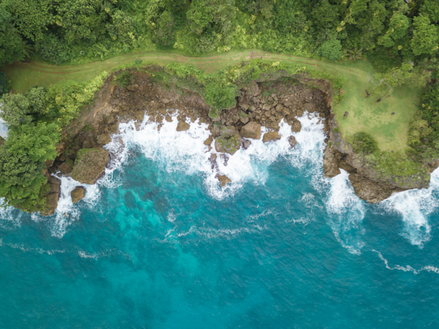 Finding Wellness in the Waters of Jamaica