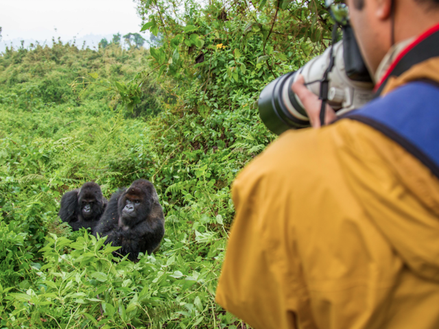 World Gorilla Day: 3 Things a Travel and Animal Lover Can Do