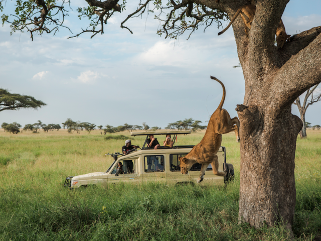 G Adventures’ Adds 12 Tours to its ‘Jane Goodall Collection’ to Support Conservation and Responsible Wildlife Tourism