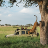 G Adventures’ Adds 12 Tours to its ‘Jane Goodall Collection’ to Support Conservation and Responsible Wildlife Tourism