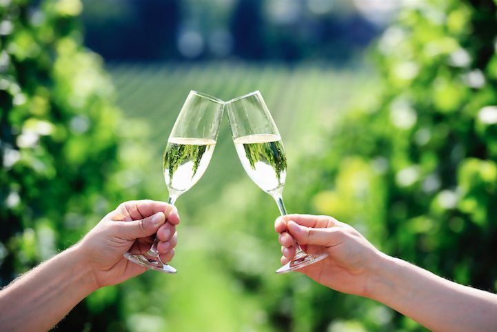 Top Travel Stories of 2019