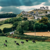 Top Souvenirs from a Trip to... Ireland
