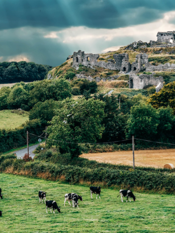 Top Souvenirs from a Trip to... Ireland