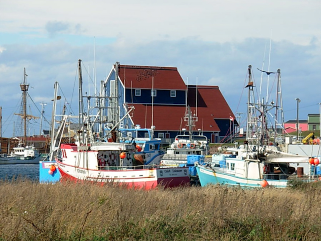 Warm Your Heart in Newfoundland on This Globus Tour