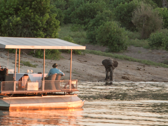 This Company is Sending a Local Hero - and their Nominating Travel Advisor - On a Life-Changing Trip to Africa