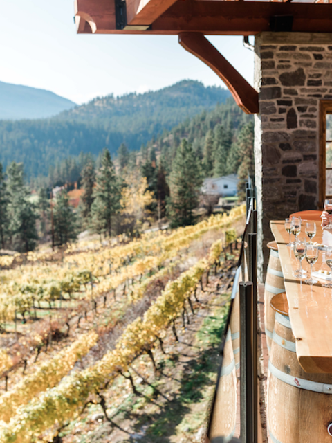 Places You Can Tour Wine Country Close to Home