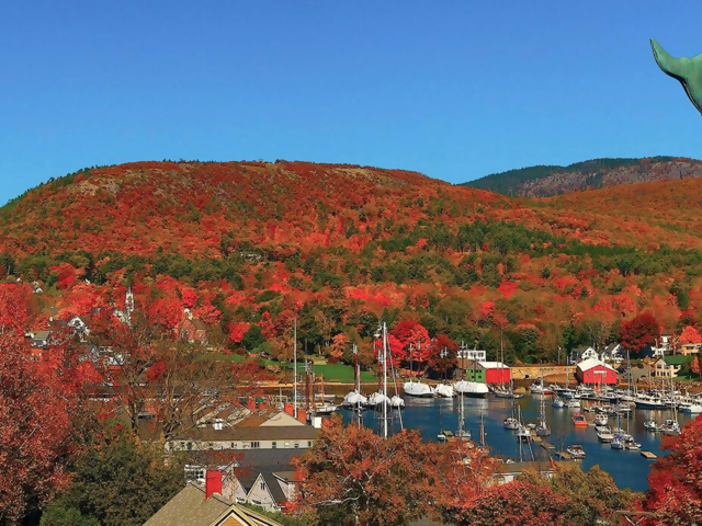 The 'Road to Happiness' is Exactly the Path We Need to Travel Right Now