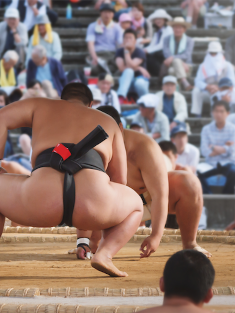 How the Postponed Tokyo Olympic Games Will Feature Japan's National Sport