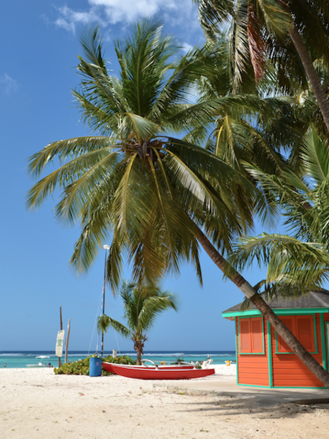 Change #WorkFromHome to #WorkFromTheBeach with a New, 1-Year Remote Workers Visa for this Island