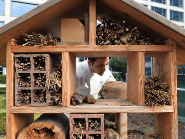 These 'Hotels' are Full of 'Guests' Throughout Pandemic - Part of Fairmont's 'Bee Sustainable' Program