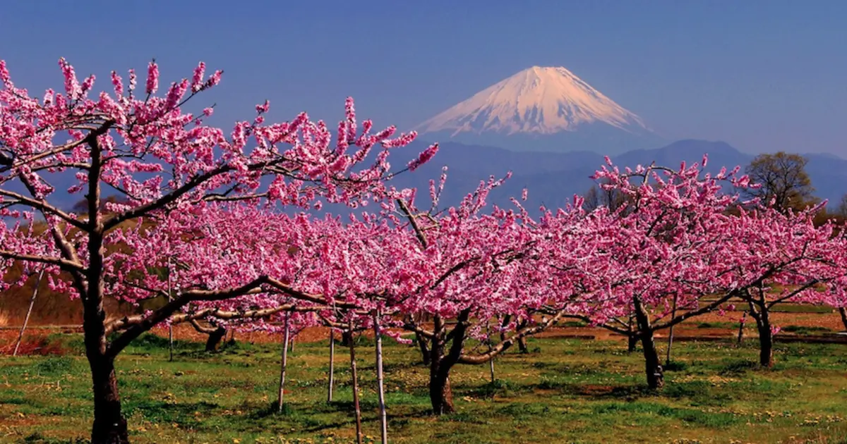 Mount Fuji and 3 Other Mountains You Need to Visit in Japan