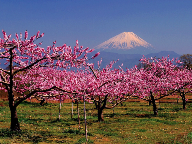 Mount Fuji and 3 Other Mountains You Need to Visit in Japan