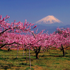 Mount Fuji and 3 Other Mountains You Need to Visit in Japan
