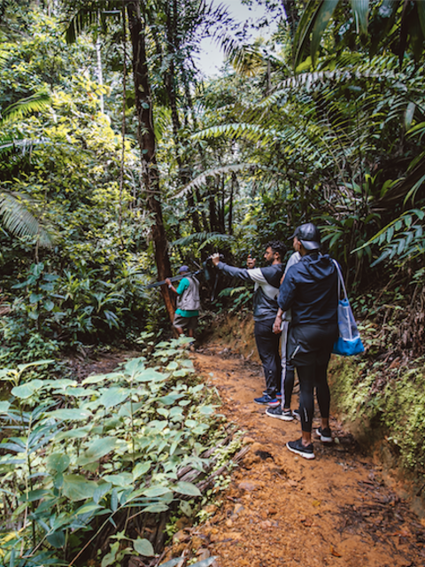 Explore the Oldest Protected Forest in the Hemisphere