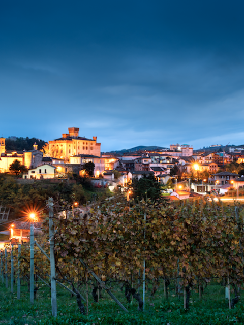Italy Names Its First 'City of Wine'