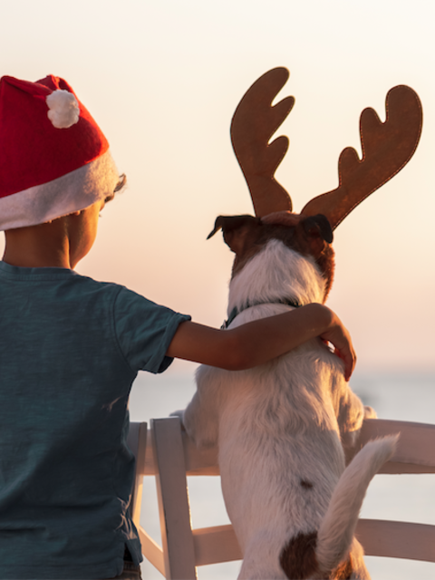 Celebrating the Holiday Spirit of Travel... at Home