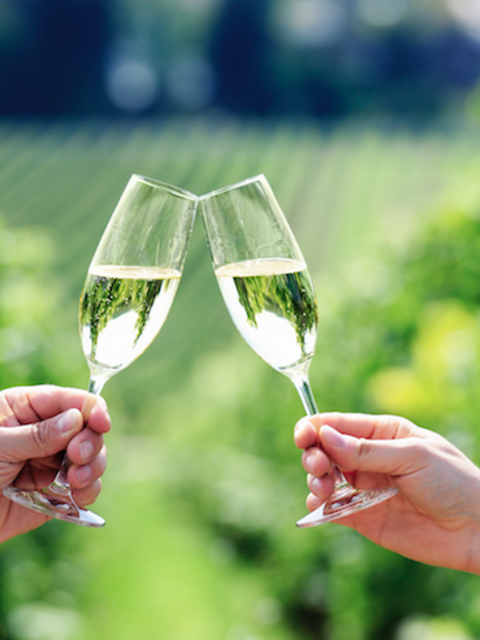 The 'FOMO' Guide To Travel in 2022