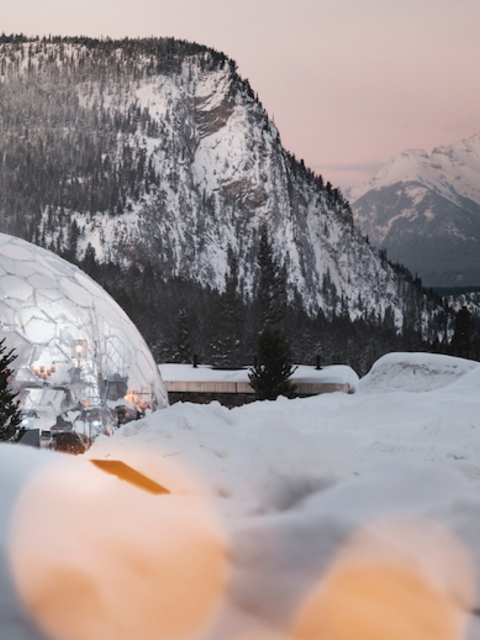 'Pandemic Pivots' in Travel We Hope Will Stick Around Forever