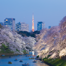 Signs of Spring - Worth Traveling For