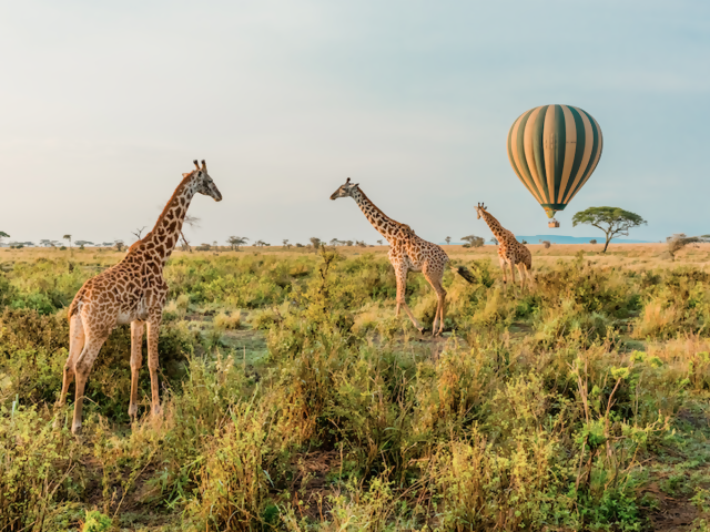 'Revenge Travel' is the Latest Trend - And Here's How to Get Some