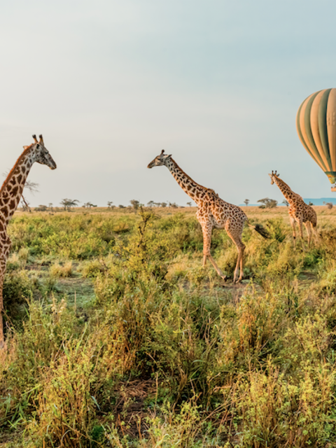 'Revenge Travel' is the Latest Trend - And Here's How to Get Some