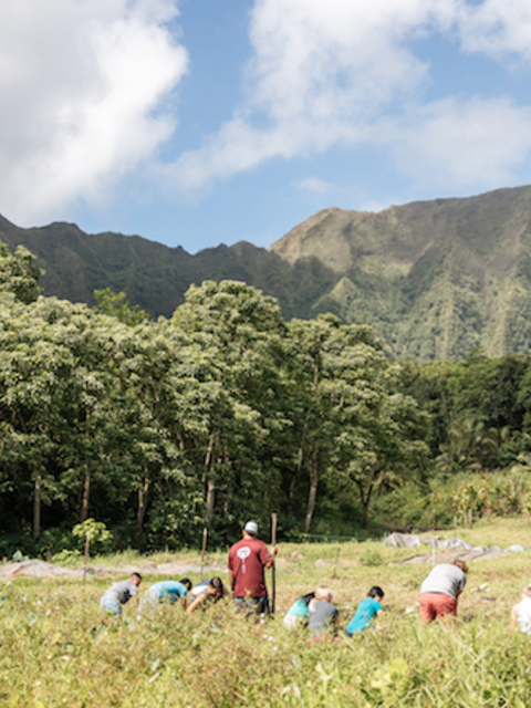 Malama Hawaii Program: Giving Back on a Trip to Paradise
