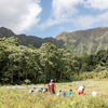 Malama Hawaii Program: Giving Back on a Trip to Paradise