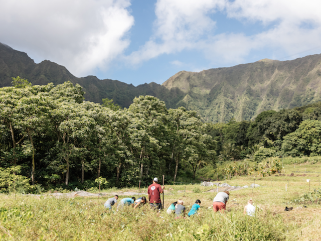 Malama Hawaii Program: Giving Back on a Trip to Paradise