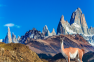 Buenos Aires Tango And More Reasons To Visit Argentina Sunflower Travel