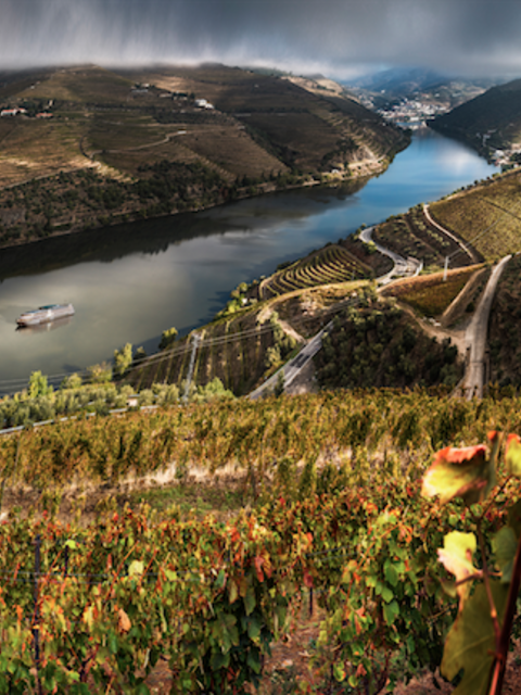 Another River Cruise Line to Begin Sailing on the Douro in Portugal